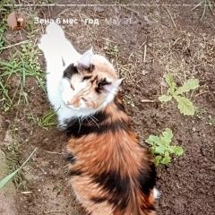����: ������� ����� ����-��� �������� ����� ���������� ���� ��� ������ � �. ������