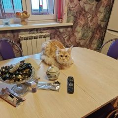 ����: ������� ����� ����-��� ������� ��� ����-���, �������� �� ������ � �. �����