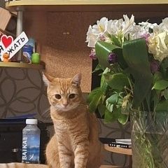 ����: ������� �����  ������� ��� ����� ��� ��������� � �. ���������