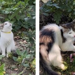 ����: ������� �����  ������� ��� ������� ��� ���������� � �. ����������