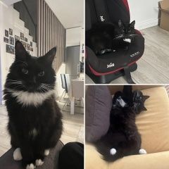 ����: ������� �����  ������� ��� �������� ����� ���� ����� ������� � �. �������