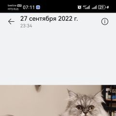 ����: ������� ����� ���������� ����� �������� ����� ����� ����� � �. �����