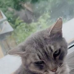 ����: ������� �����  �������� ������� ����� � �. �������