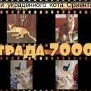Подробнее об объявлении «Майкоп (Адыгея) Пропал кот р за возврат кота» Фото: пропала кошка Ориентальная (восточная короткошерстная) «Майкоп (Адыгея) Пропал кот р за возврат кота» в г. Майкоп (Адыгея)