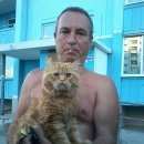Подробнее об объявлении «Пропал кот рыжий кот перс Новосибирск» Фото: пропала кошка Персидская «Пропал кот рыжий кот перс Новосибирск» в г. Новосибирск