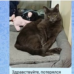 ����: ������� �����  ������� ��� ������������, . ������ ���� ������ � �. ������