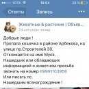 Подробнее об объявлении «Пропала кошка вознаграждение Пенза» Фото: пропала кошка Сибирская «Пропала кошка вознаграждение Пенза» в г. Пенза