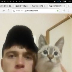 Подробнее об объявлении «Пропал кот Омск» Фото: пропала кошка  «Пропал кот Омск» в г. Омск