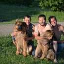 Подробнее об объявлении «Пропала собака кобель Симферополь» Фото: пропала собака Немецкая овчарка «Пропала собака кобель Симферополь» в г. Симферополь