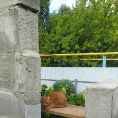 Подробнее об объявлении «Пропала кошка Старый Оскол» Фото: пропала кошка  «Пропала кошка Старый Оскол» в г. Старый Оскол
