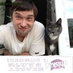 Подробнее об объявлении «Пропал кот Санкт-Петербург» Фото: пропала кошка  «Пропал кот Санкт-Петербург» в г. Санкт-Петербург