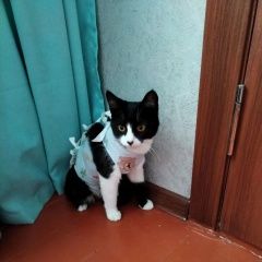 ����: ������� �����  �������� ����� ���������� � �. ����������