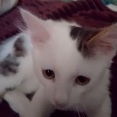 ����: None  ��������� ����� ������ ��� ����������� � �. ����������