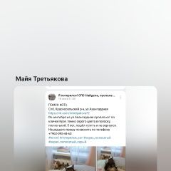 Подробнее об объявлении «Пропал кот видели его по ул. бестужевская 39 Санкт-Петербург» Фото: пропала кошка  «Пропал кот видели его по ул. бестужевская 39...» в г. Санкт-Петербург