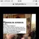 Подробнее об объявлении «Химки Пропала кошка помогите найти марту» Фото: пропала кошка Канадский сфинкс «Химки Пропала кошка помогите найти марту» в г. Химки