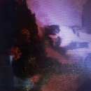 Подробнее об объявлении «Пропала кошка потерялась кошка. Томск» Фото: пропала кошка  «Пропала кошка потерялась кошка. Томск» в г. Томск