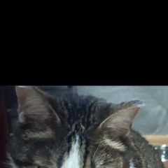 ����: ������� �����  ������� ��� ������� � �. ������