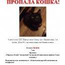 Подробнее об объявлении «Пропала кошка снт жаворонки-север.помогите Одинцово» Фото: пропала кошка  «Пропала кошка снт жаворонки-север.помогите...» в г. Одинцово