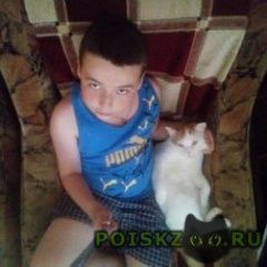 Подробнее об объявлении «Пропала кошка Воскресенск» Фото: пропала кошка  «Пропала кошка Воскресенск» в г. Воскресенск