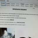 Подробнее об объявлении «Пропала кошка южное бутово Москва» Фото: пропала кошка Мейн-кун «Пропала кошка южное бутово Москва» в г. Москва