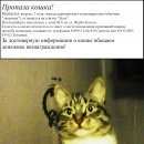 Подробнее об объявлении «Пермь Пропала кошка» Фото: пропала кошка Европейская короткошерстная «Пермь Пропала кошка» в г. Пермь