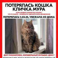 Подробнее об объявлении «Пропала кошка помогите найти кошку Санкт-Петербург» Фото: пропала кошка Сибирская кошка «Пропала кошка помогите найти кошку Санкт-Петербург» в г. Санкт-Петербург