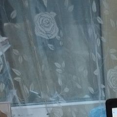 Подробнее об объявлении «Пропал кот сиамский кот Казань» Фото: пропала кошка Сиамская кошка «Пропал кот сиамский кот Казань» в г. Казань