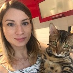 Подробнее об объявлении «Пропал кот помогите найти кота вознаграждение 20 т Щелково» Фото: пропала кошка Бенгальская «Пропал кот помогите найти кота вознаграждение...» в г. Щелково