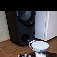 ����: ������� �����  ������� ��� ��������� � �. ���������