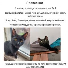 Подробнее об объявлении «Москва Пропал кот 5 июля в 23:00» Фото: пропала кошка  «Москва Пропал кот 5 июля в 23:00» в г. Москва
