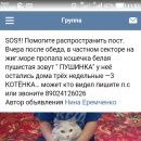 Подробнее об объявлении «Тольятти Пропала кошка» Фото: пропала кошка  «Тольятти Пропала кошка» в г. Тольятти