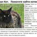 Подробнее об объявлении «Минусинск Пропал кот» Фото: пропала кошка Мейн-кун «Минусинск Пропал кот» в г. Минусинск
