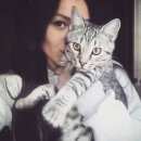 Подробнее об объявлении «Пропал кот Нижний Новгород» Фото: пропала кошка  «Пропал кот Нижний Новгород» в г. Нижний Новгород