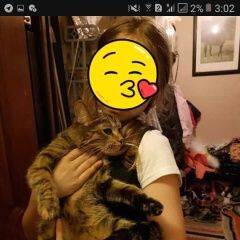 Подробнее об объявлении «Пропала кошка Москва» Фото: пропала кошка  «Пропала кошка Москва» в г. Москва