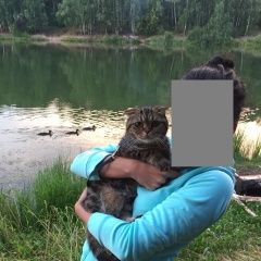 Подробнее об объявлении «Казань Пропала кошка» Фото: пропала кошка  «Казань Пропала кошка» в г. Казань
