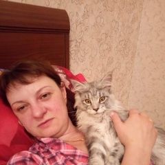 Подробнее об объявлении «Ногинск Пропал кот в е вознаграждение гарантируется» Фото: пропала кошка Мейн-кун «Ногинск Пропал кот в е вознаграждение...» в г. Ногинск