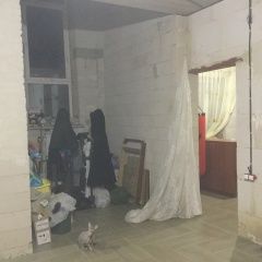 Подробнее об объявлении «Белгород Пропала кошка любимица семьи.» Фото: пропала кошка Сфинкс «Белгород Пропала кошка любимица семьи.» в г. Белгород