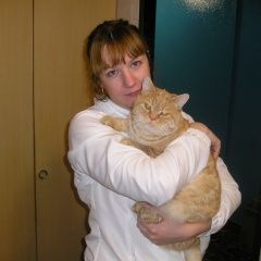 Подробнее об объявлении «Пропал кот Можайск» Фото: пропала кошка Британская короткошерстная «Пропал кот Можайск» в г. Можайск