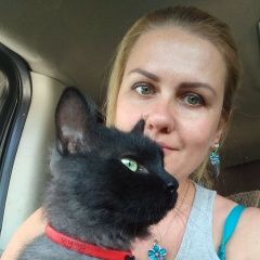 Подробнее об объявлении «Пропал кот кузя Волоколамск» Фото: пропала кошка  «Пропал кот кузя Волоколамск» в г. Волоколамск