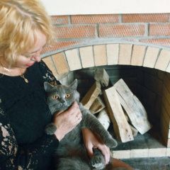 Подробнее об объявлении «Пропал кот зовут изя Томск» Фото: пропала кошка Британская короткошерстная «Пропал кот зовут изя Томск» в г. Томск