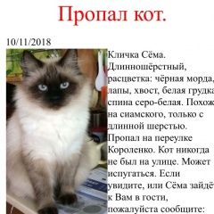 Подробнее об объявлении «Пропал кот Ростов-на-Дону» Фото: пропала кошка Бирманская (Священная бирма) «Пропал кот Ростов-на-Дону» в г. Ростов-на-Дону