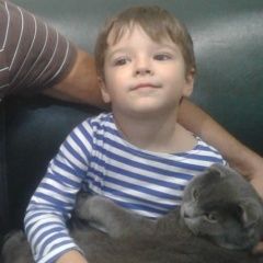 Подробнее об объявлении «Апшеронск Пропал кот британец» Фото: пропала кошка Британская короткошерстная «Апшеронск Пропал кот британец» в г. Апшеронск