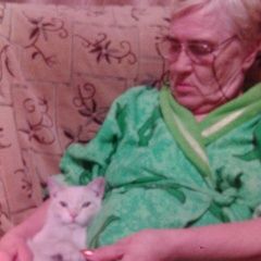 Подробнее об объявлении «Пропал кот Кемерово» Фото: пропала кошка  «Пропал кот Кемерово» в г. Кемерово