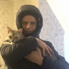 Подробнее об объявлении «Пропал кот порода сингапурец Одинцово» Фото: пропала кошка Сингапурская кошка «Пропал кот порода сингапурец Одинцово» в г. Одинцово