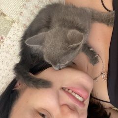 Подробнее об объявлении «Пропал кот Новороссийск» Фото: пропала кошка  «Пропал кот Новороссийск» в г. Новороссийск