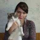 Подробнее об объявлении «Улан-Удэ Пропал кот» Фото: пропала кошка  «Улан-Удэ Пропал кот» в г. Улан-Удэ