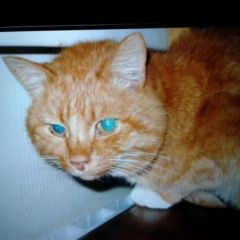 ����: ������� �����  ������� ��� ����� ��� ���� ������� � �. �������