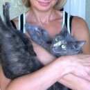 Подробнее об объявлении «Иваново Пропала кошка пожалуйста, помогите.» Фото: пропала кошка  «Иваново Пропала кошка пожалуйста, помогите.» в г. Иваново