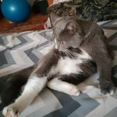 ����: ������� �����  �������� ����� ������ �������� � �. ������ �������