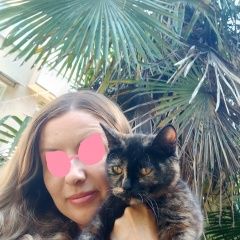 Подробнее об объявлении «Пропала кошка трехцветная Ростов-на-Дону» Фото: пропала кошка  «Пропала кошка трехцветная Ростов-на-Дону» в г. Ростов-на-Дону